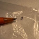 TickCollected25Sept2022.jpg