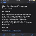 Handgun Bear.jpg