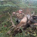 Elk 2022.jpg