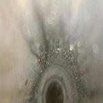 06F8E1B5-3A4E-4480-8E91-AE00749EDD2E.jpg