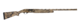 MCAM.png