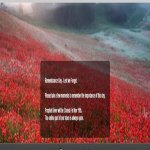 Screenshot 2022-11-08 090449.jpg