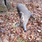 IMG_20221110_080645501.jpg