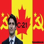 trudeau-files-new-law-to-criminalize-canadian-gun-owners-770.jpg