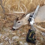 2022sbldeer.jpg