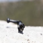 FUN_7846.jpg