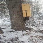 trap #2.jpg