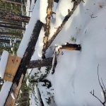 2022 trapline #2.jpg