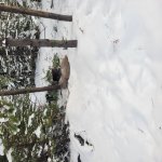 2022 trapline #3.jpg