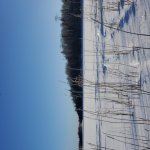 20221219_100517.jpg