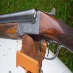 P6220225-cropped.jpg