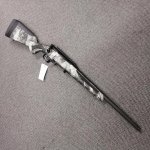 Savage Impulse 2.jpg