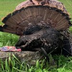 gobble.jpg