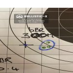 Ballistic-X-Export-2021-12-17 16:40:48.296208.jpg