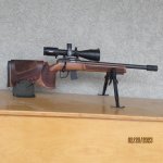 MTR 17.jpg