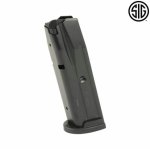 sig 320 mags.jpg