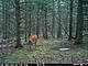 PICT0049.jpg