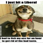 good boy.jpg