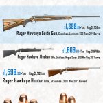 Three-days-sale-Ruger-3-_03.jpg