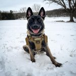 1-traite-Oliver - 5D4EE7E5-C1DD-4B48-8FAD-AAB77DFA660D.jpg