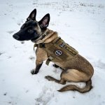 2-traite-Oliver - D7D19598-4ECA-42A9-BA2F-A3CD39E862F0.jpg