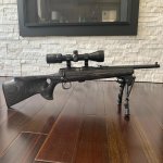 CZ452 Scout in Boyd's Thumbhole Stock 1.jpg