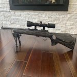 CZ452 Scout in Boyd's Thumbhole Stock 2.jpg