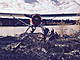 leaf-river-plane.jpg