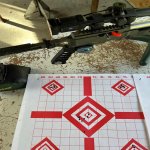 2 Grey Birch Target.jpg