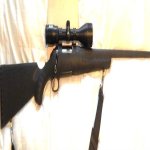 Ruger American 223.jpg