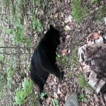 IMG_5856.jpg