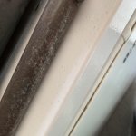 C0040834-6884-4EC3-B242-39484709786F.jpg C0040834-6884-4EC3-B242-39484709786F.jpg