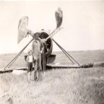 Lysander near Dafoe, Sask.jpg