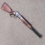 Big Horn With Rail.jpg