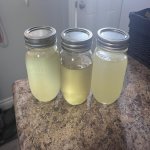 1st batch.jpg
