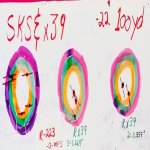 Range 8-20-22 X39 - 223 - SKS 100yds CROP.jpg