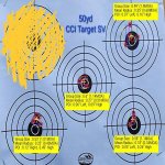 shared_image (1).jpg