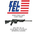 When Will S&W Copy This (2).jpg