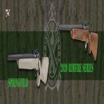 springfield 2020 &#30005;&#33041;.jpg