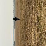 IMG_7276.jpg