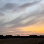 IMG_7578.jpeg