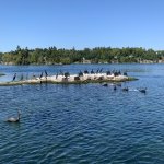 IMG_9587[1].jpg