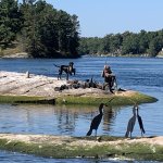 IMG_9591[1].jpg
