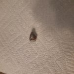 20230919_131839.jpg