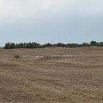IMG_7671.jpg