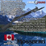 mossbergCA.jpg