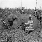 gettyimages-501387907-612x612.jpg