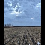 IMG_8288.jpg