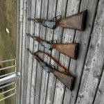 IMG_9272.jpg