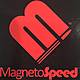 magneto logo .jpg